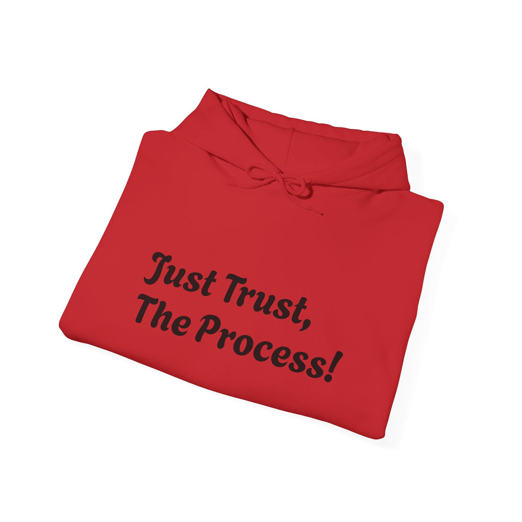 Just Trust, The Process